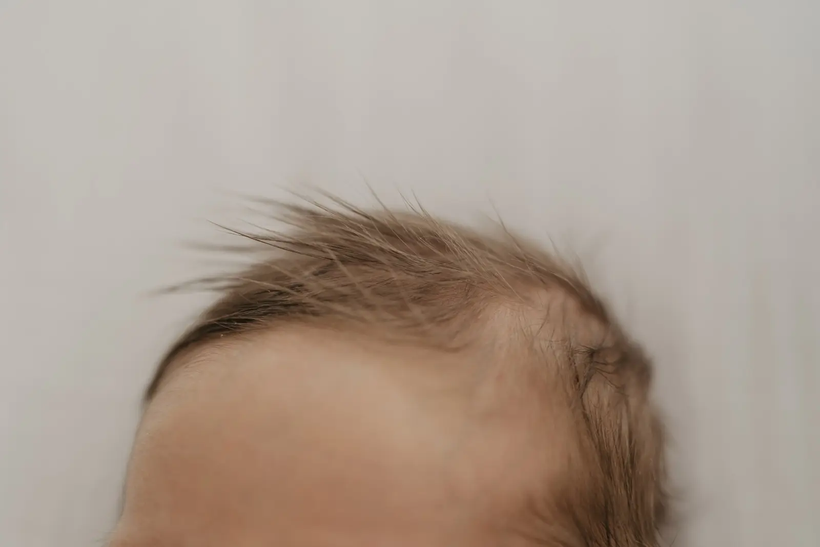 Detail: Kopf eines Neugeborenen mit feinem Haar
